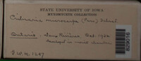 Image Associated With the Occurence